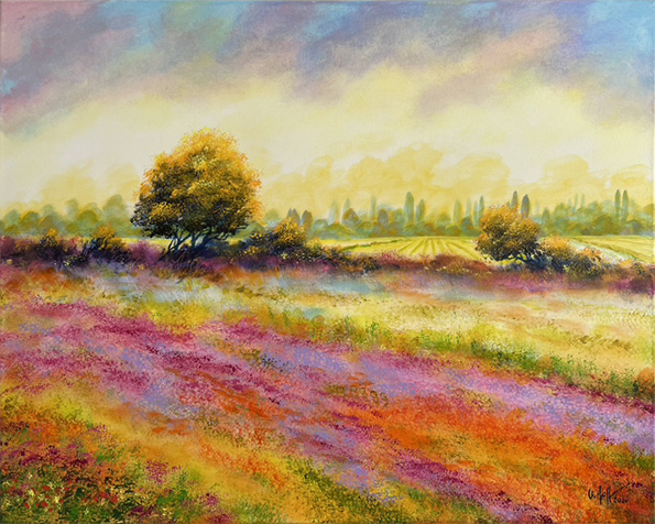 Sonniger Sommermorgen